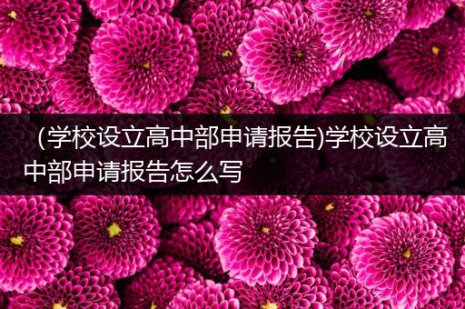 （学校设立高中部申请报告)学校设立高中部申请报告怎么写