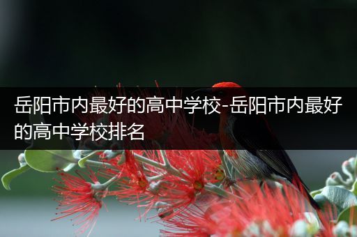 岳阳市内最好的高中学校-岳阳市内最好的高中学校排名
