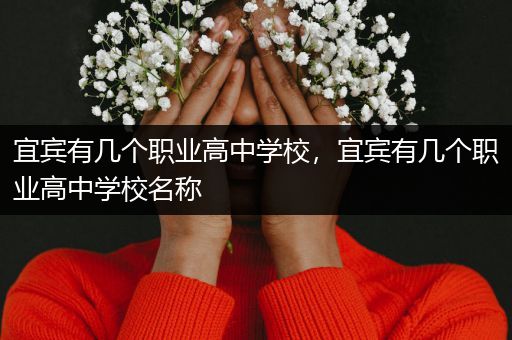 宜宾有几个职业高中学校，宜宾有几个职业高中学校名称