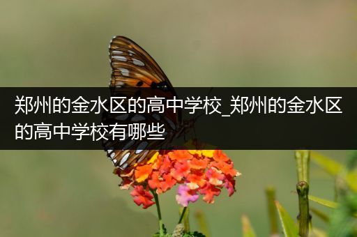 郑州的金水区的高中学校_郑州的金水区的高中学校有哪些