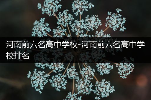 河南前六名高中学校-河南前六名高中学校排名