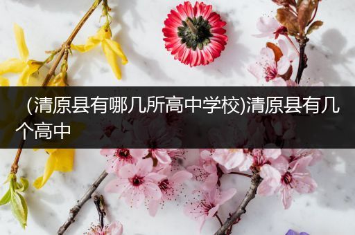 （清原县有哪几所高中学校)清原县有几个高中