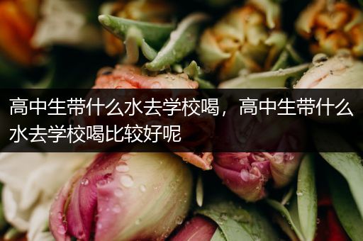 高中生带什么水去学校喝，高中生带什么水去学校喝比较好呢