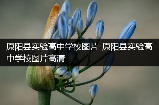 原阳县实验高中学校图片-原阳县实验高中学校图片高清
