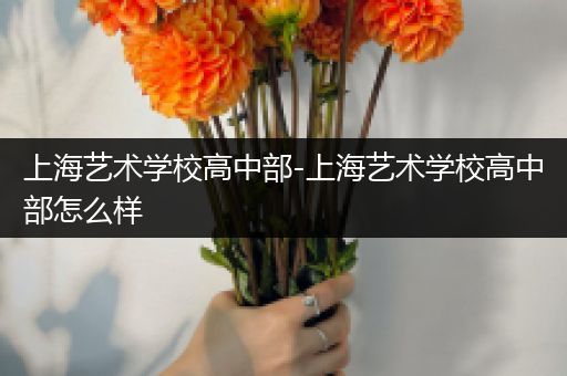 上海艺术学校高中部-上海艺术学校高中部怎么样