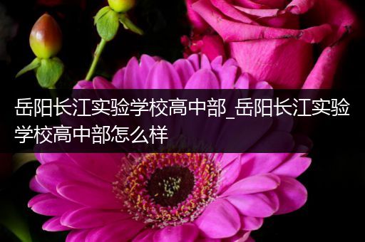 岳阳长江实验学校高中部_岳阳长江实验学校高中部怎么样