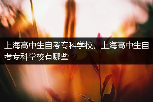 上海高中生自考专科学校，上海高中生自考专科学校有哪些