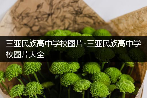 三亚民族高中学校图片-三亚民族高中学校图片大全