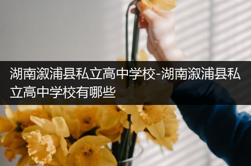 湖南溆浦县私立高中学校-湖南溆浦县私立高中学校有哪些