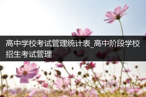 高中学校考试管理统计表_高中阶段学校招生考试管理
