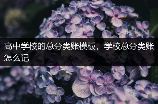 高中学校的总分类账模板，学校总分类账怎么记