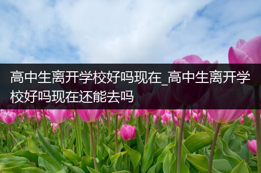 高中生离开学校好吗现在_高中生离开学校好吗现在还能去吗