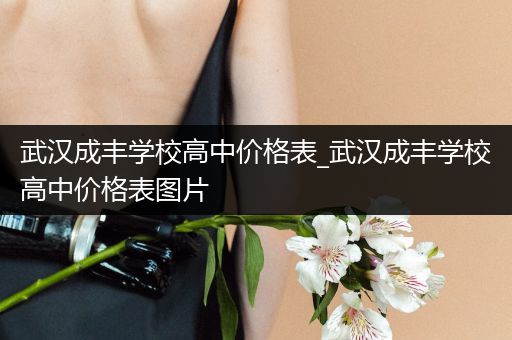武汉成丰学校高中价格表_武汉成丰学校高中价格表图片