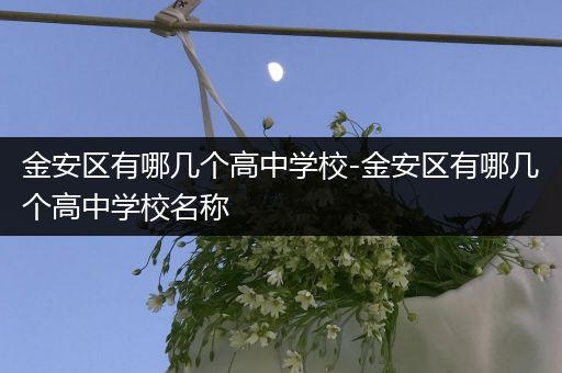 金安区有哪几个高中学校-金安区有哪几个高中学校名称
