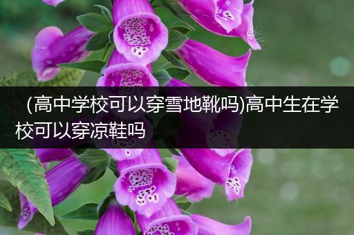 （高中学校可以穿雪地靴吗)高中生在学校可以穿凉鞋吗