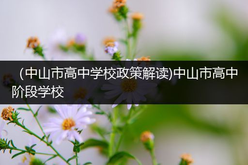 （中山市高中学校政策解读)中山市高中阶段学校