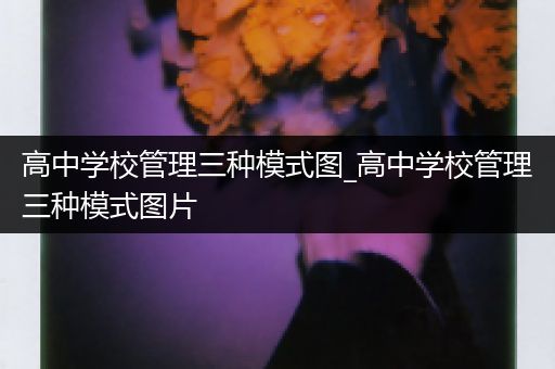 高中学校管理三种模式图_高中学校管理三种模式图片