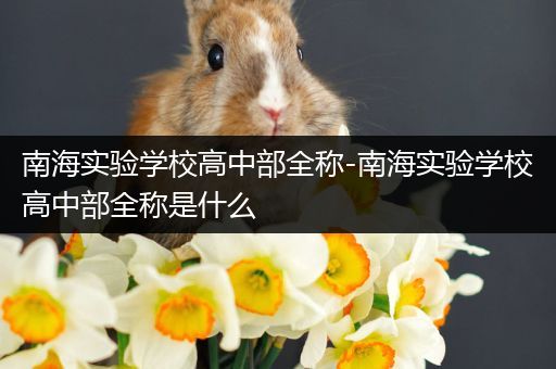 南海实验学校高中部全称-南海实验学校高中部全称是什么