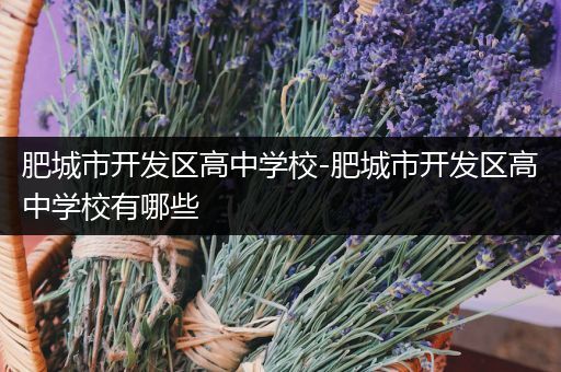 肥城市开发区高中学校-肥城市开发区高中学校有哪些