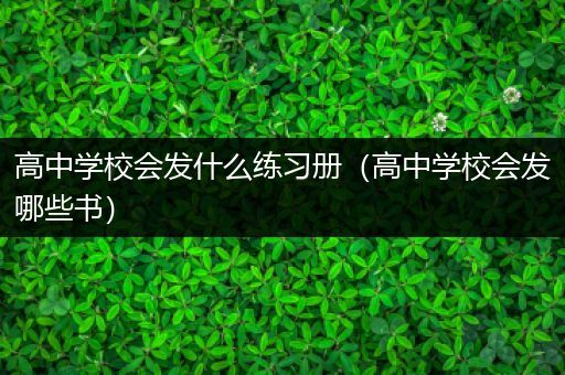 高中学校会发什么练习册（高中学校会发哪些书）