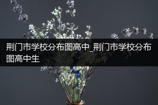 荆门市学校分布图高中_荆门市学校分布图高中生