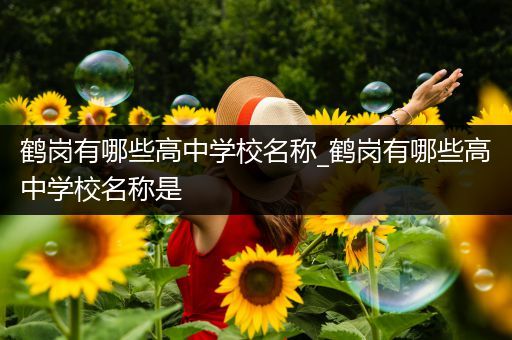 鹤岗有哪些高中学校名称_鹤岗有哪些高中学校名称是