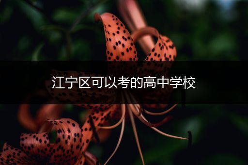 江宁区可以考的高中学校