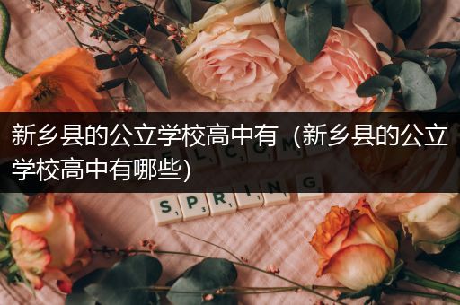 新乡县的公立学校高中有（新乡县的公立学校高中有哪些）
