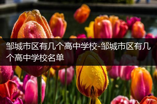 邹城市区有几个高中学校-邹城市区有几个高中学校名单