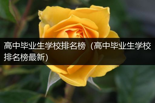 高中毕业生学校排名榜（高中毕业生学校排名榜最新）