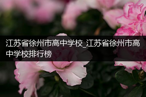 江苏省徐州市高中学校_江苏省徐州市高中学校排行榜