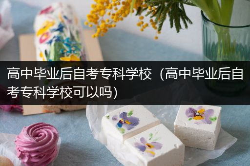 高中毕业后自考专科学校（高中毕业后自考专科学校可以吗）