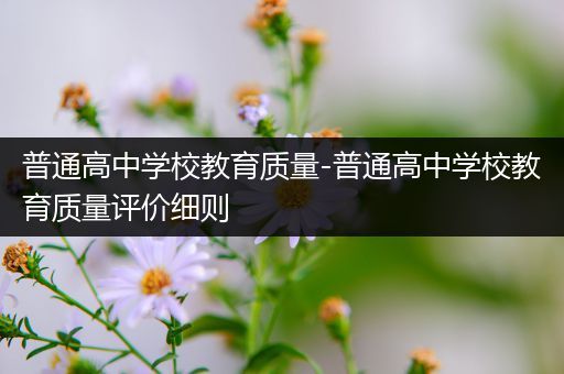普通高中学校教育质量-普通高中学校教育质量评价细则