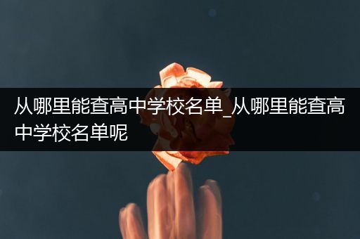 从哪里能查高中学校名单_从哪里能查高中学校名单呢