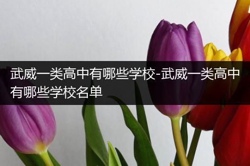 武威一类高中有哪些学校-武威一类高中有哪些学校名单