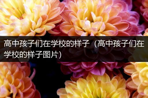 高中孩子们在学校的样子（高中孩子们在学校的样子图片）