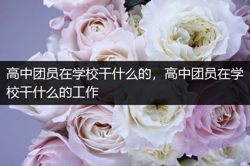 高中团员在学校干什么的，高中团员在学校干什么的工作