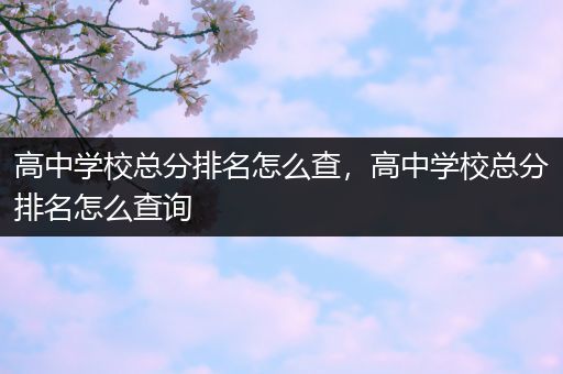 高中学校总分排名怎么查，高中学校总分排名怎么查询