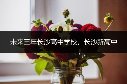 未来三年长沙高中学校，长沙新高中