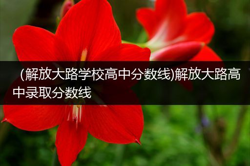 （解放大路学校高中分数线)解放大路高中录取分数线