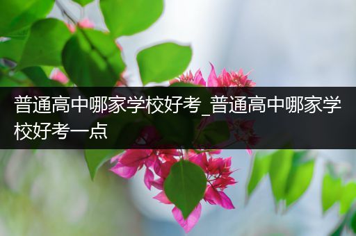 普通高中哪家学校好考_普通高中哪家学校好考一点