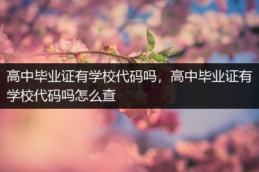 高中毕业证有学校代码吗，高中毕业证有学校代码吗怎么查