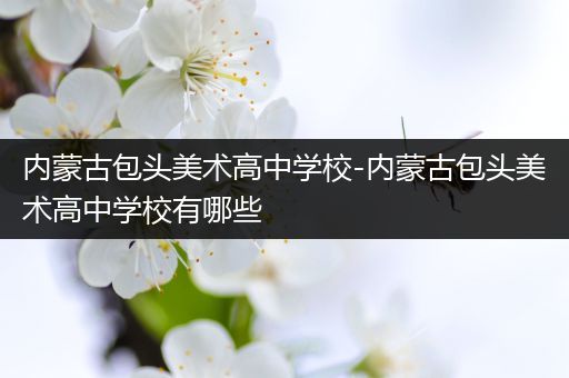 内蒙古包头美术高中学校-内蒙古包头美术高中学校有哪些