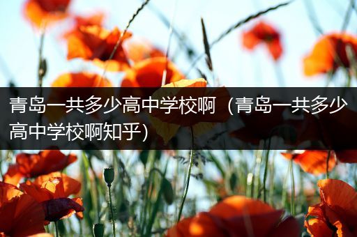 青岛一共多少高中学校啊（青岛一共多少高中学校啊知乎）