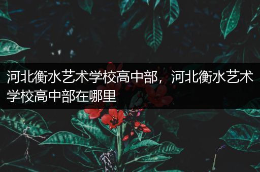 河北衡水艺术学校高中部，河北衡水艺术学校高中部在哪里