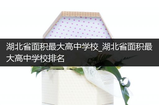 湖北省面积最大高中学校_湖北省面积最大高中学校排名