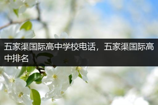 五家渠国际高中学校电话，五家渠国际高中排名