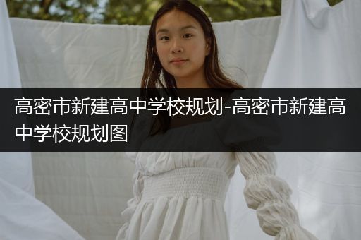 高密市新建高中学校规划-高密市新建高中学校规划图