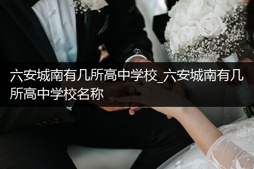 六安城南有几所高中学校_六安城南有几所高中学校名称