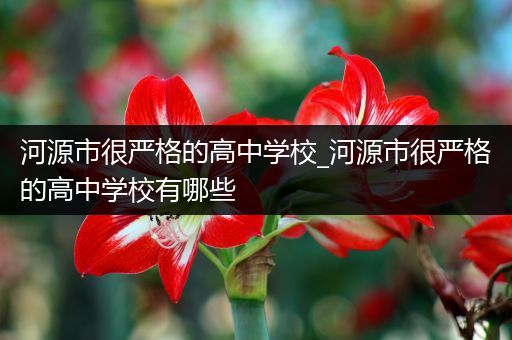 河源市很严格的高中学校_河源市很严格的高中学校有哪些